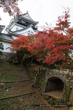 廊下橋｜高解像度画像サイズ：4480 x 6720 pixels｜写真番号：5D4A3467｜撮影：Canon EOS 5D Mark IV