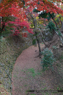 本丸清海堀｜高解像度画像サイズ：4480 x 6720 pixels｜写真番号：5D4A3470｜撮影：Canon EOS 5D Mark IV