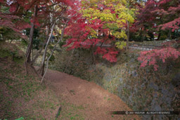 本丸清海堀｜高解像度画像サイズ：6720 x 4480 pixels｜写真番号：5D4A3481｜撮影：Canon EOS 5D Mark IV