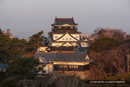 朝日に染まる天守 | 高解像度画像サイズ：4641 x 3094 pixels | 写真番号：VJ7Z3984 | 撮影：Canon EOS-1Ds Mark II