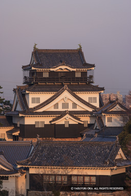 朝日に染まる天守 | 高解像度画像サイズ：3328 x 4992 pixels | 写真番号：VJ7Z3991 | 撮影：Canon EOS-1Ds Mark II