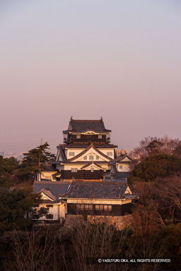 朝日に染まる天守 | 高解像度画像サイズ：3286 x 4929 pixels | 写真番号：VJ7Z4001 | 撮影：Canon EOS-1Ds Mark II