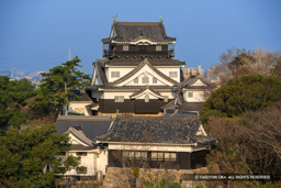 岡崎城天守 | 高解像度画像サイズ:4992 x 3328 pixels | 写真番号:VJ7Z4093 | 撮影:Canon EOS-1Ds Mark II