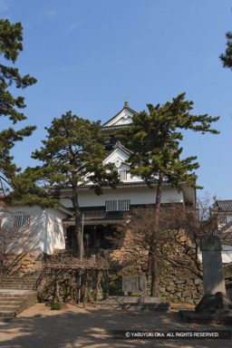 岡崎城天守・過去の姿 | 高解像度画像サイズ：3205 x 4807 pixels | 写真番号：VJ7Z4182 | 撮影：Canon EOS-1Ds Mark II