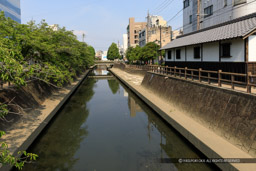 水門川｜高解像度画像サイズ：6720 x 4480 pixels｜写真番号：5D4A9600｜撮影：Canon EOS 5D Mark IV