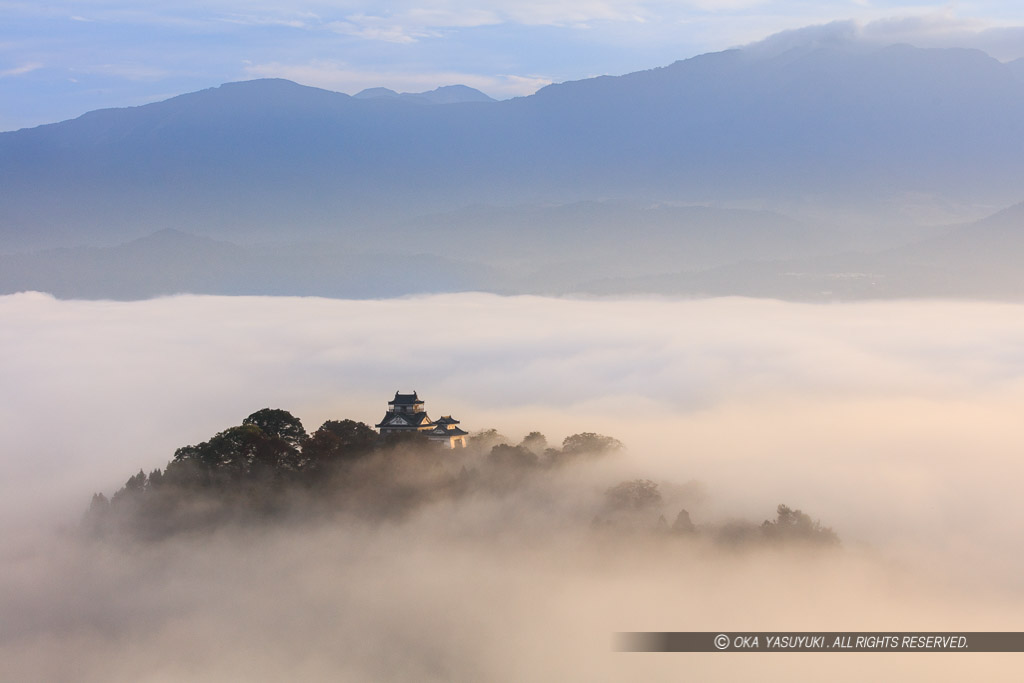 大野城 (越前国)
