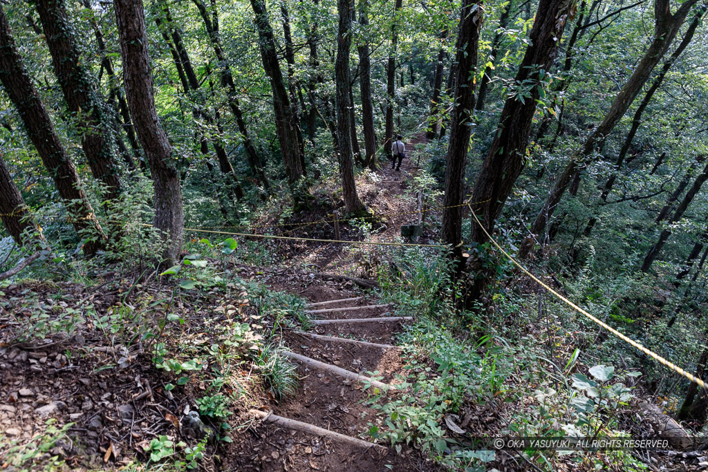 鍬掛コース・登山道