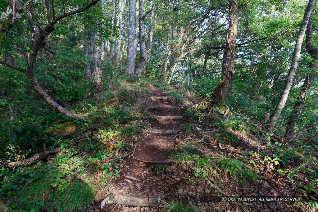 鍬掛コース・登山道