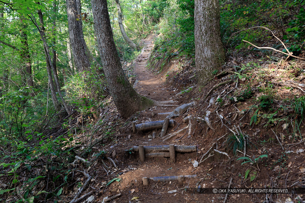 鍬掛コース・登山道