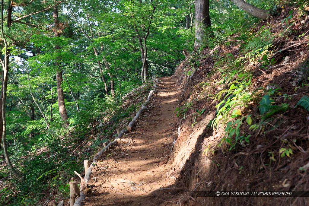 鍬掛コース・登山道