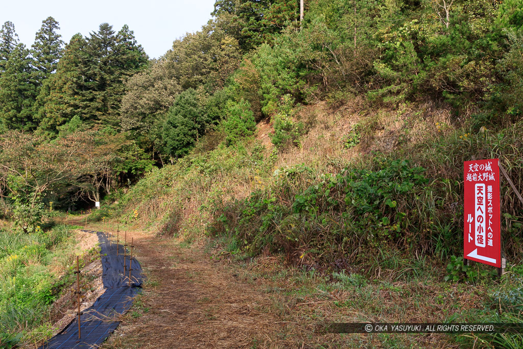 鍬掛コース・登山道