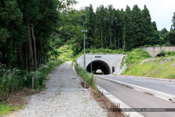 鍬掛コース・登山道・砂山トンネル｜高解像度画像サイズ：5184 x 3456 pixels｜写真番号：1DX_0897｜撮影：Canon EOS-1D X