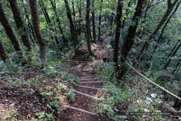 鍬掛コース・登山道｜高解像度画像サイズ：8688 x 5792 pixels｜写真番号：5DSA2631｜撮影：Canon EOS 5DS