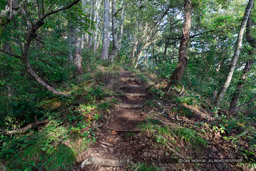 鍬掛コース・登山道｜高解像度画像サイズ：8688 x 5792 pixels｜写真番号：5DSA2635｜撮影：Canon EOS 5DS