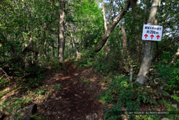 鍬掛コース・登山道｜高解像度画像サイズ：8688 x 5792 pixels｜写真番号：5DSA2637｜撮影：Canon EOS 5DS