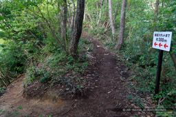 鍬掛コース・登山道｜高解像度画像サイズ：8688 x 5792 pixels｜写真番号：5DSA2639｜撮影：Canon EOS 5DS