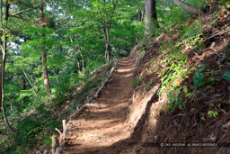 鍬掛コース・登山道｜高解像度画像サイズ：8688 x 5792 pixels｜写真番号：5DSA2642｜撮影：Canon EOS 5DS