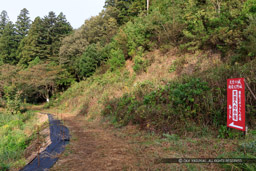 鍬掛コース・登山道｜高解像度画像サイズ：8688 x 5792 pixels｜写真番号：5DSA2643｜撮影：Canon EOS 5DS