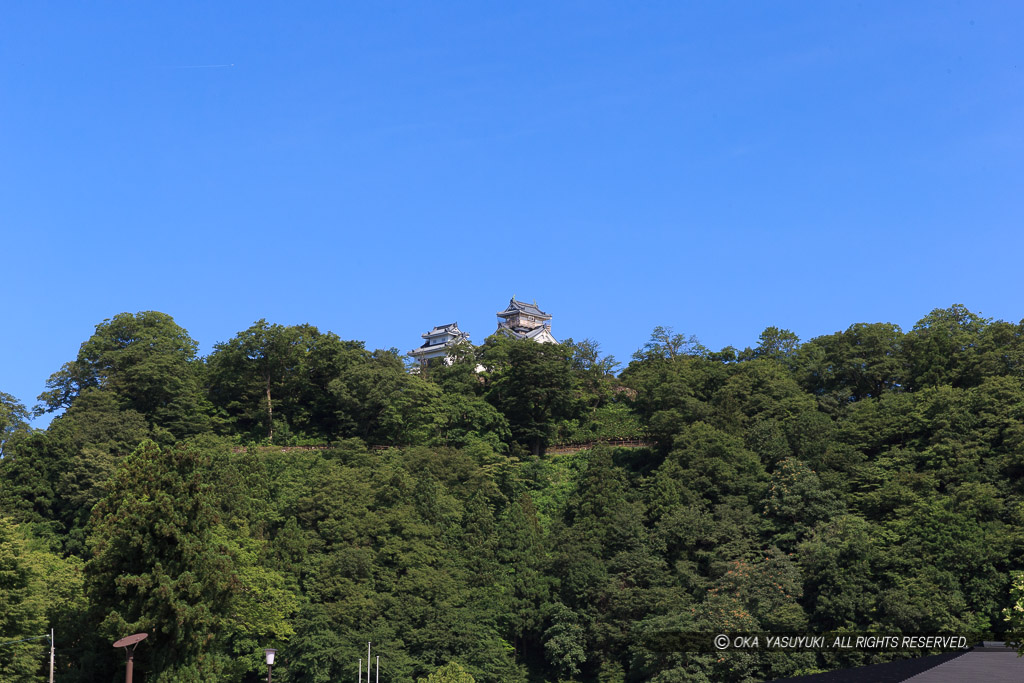 夏・麓から天守を望む