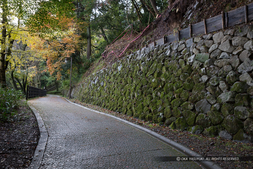 登山道