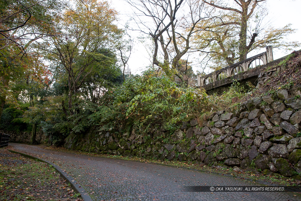 登山道