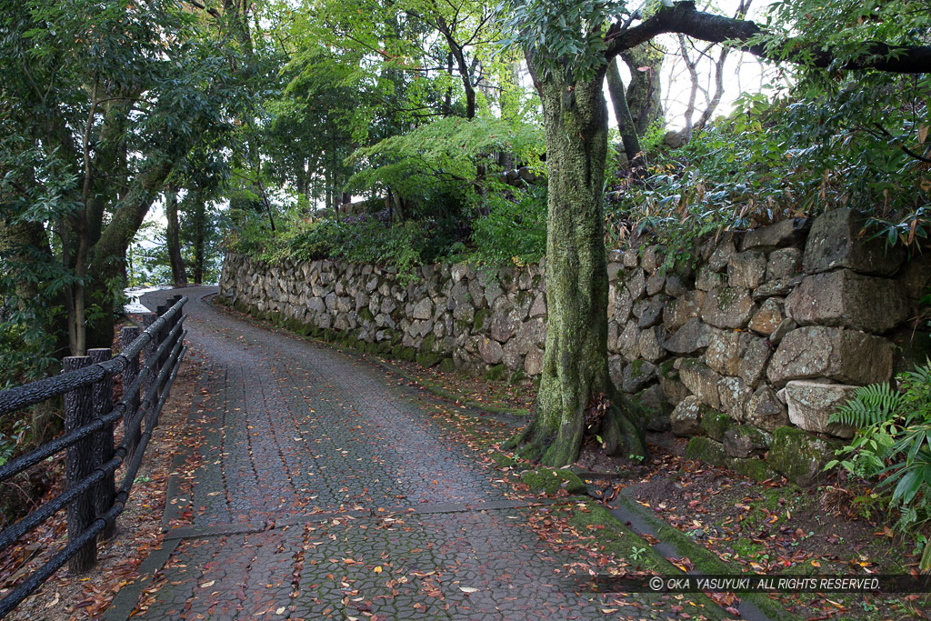 登山道