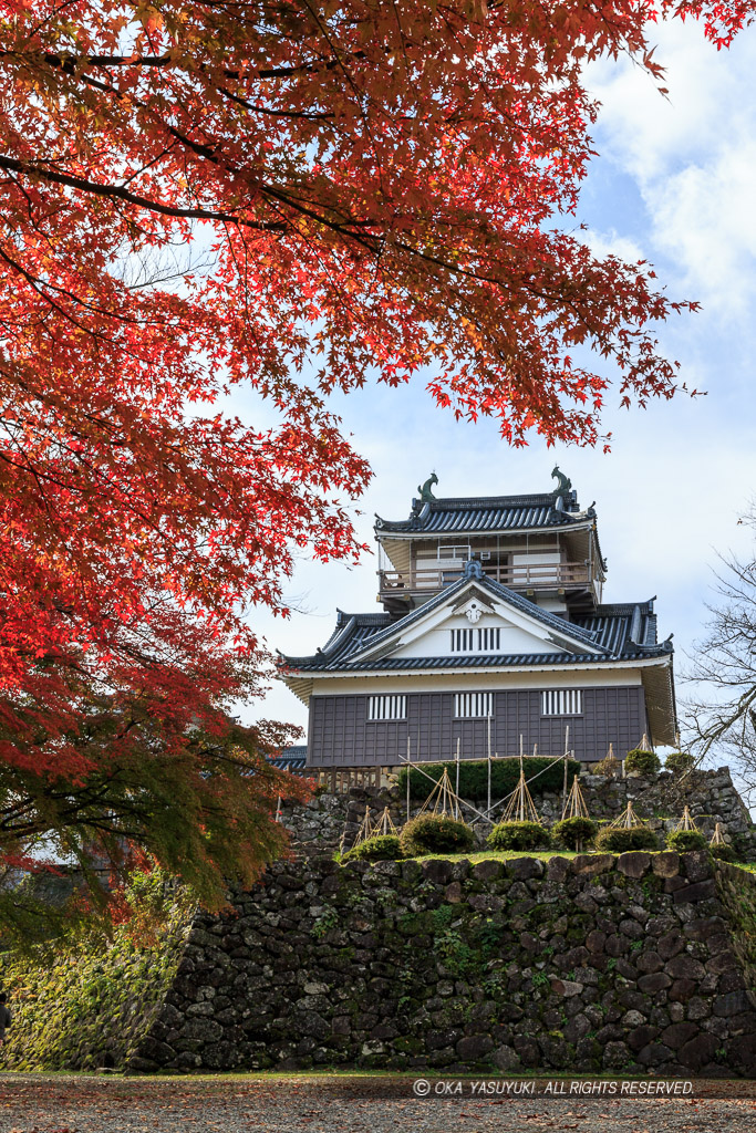 越前大野城の紅葉・本丸から望む天守