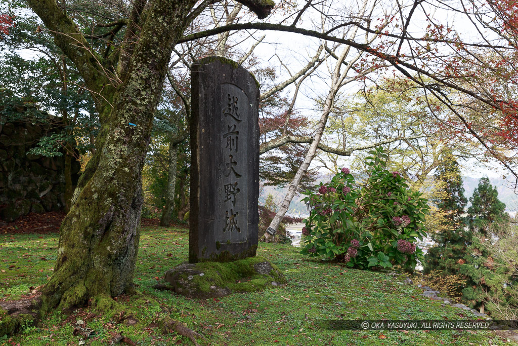 越前大野城石碑