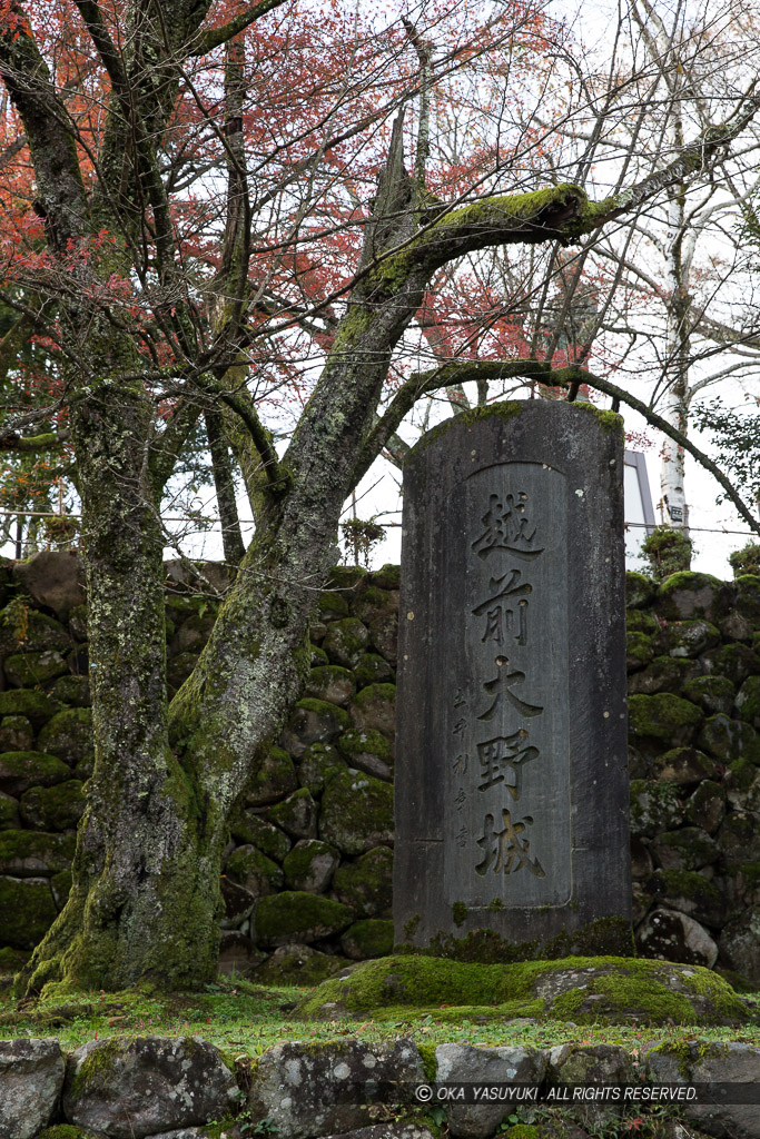 越前大野城石碑