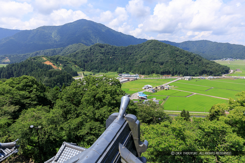 天守から戌山城を望む