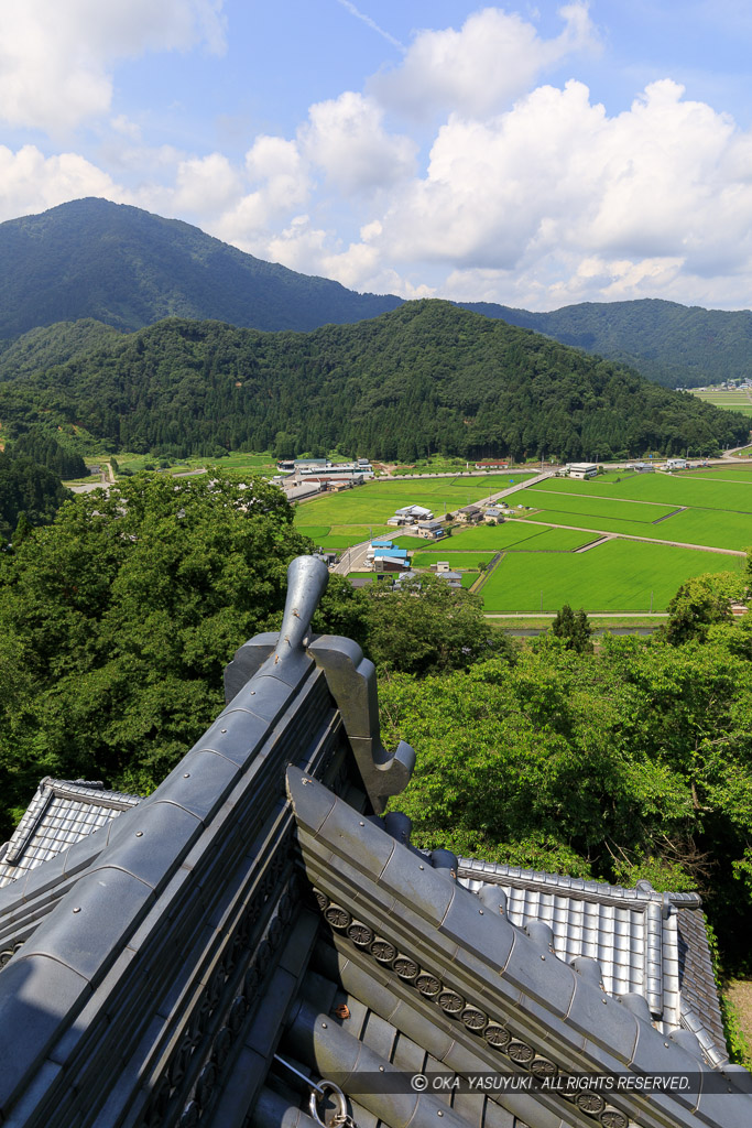 天守から戌山城を望む