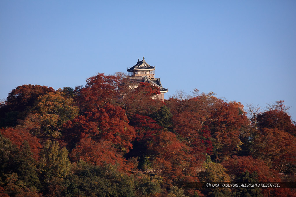 紅葉