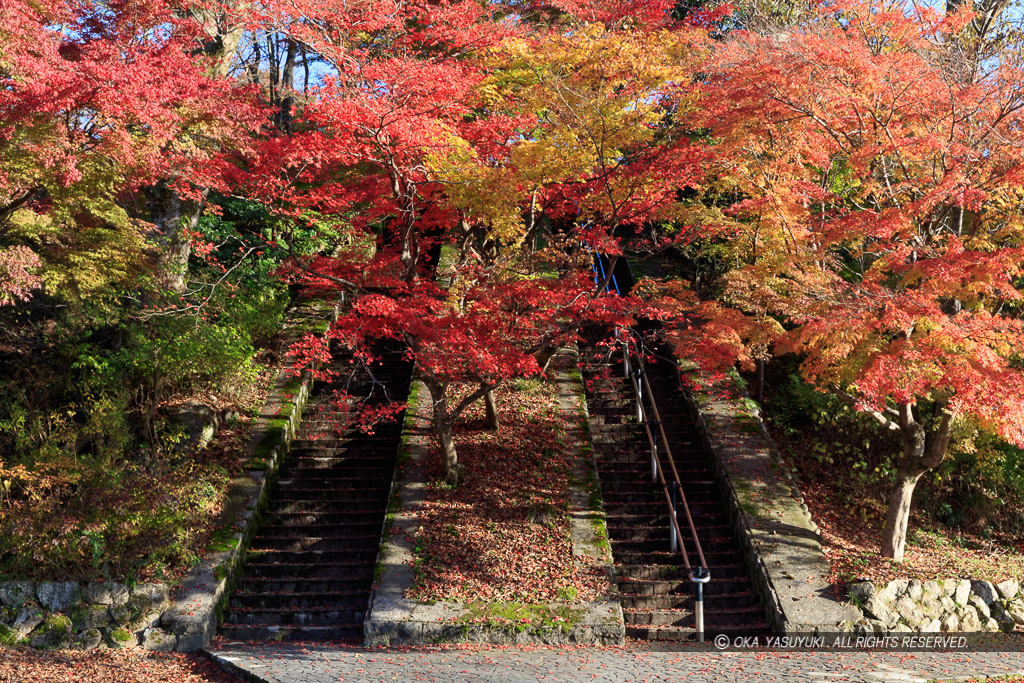 曲輪跡