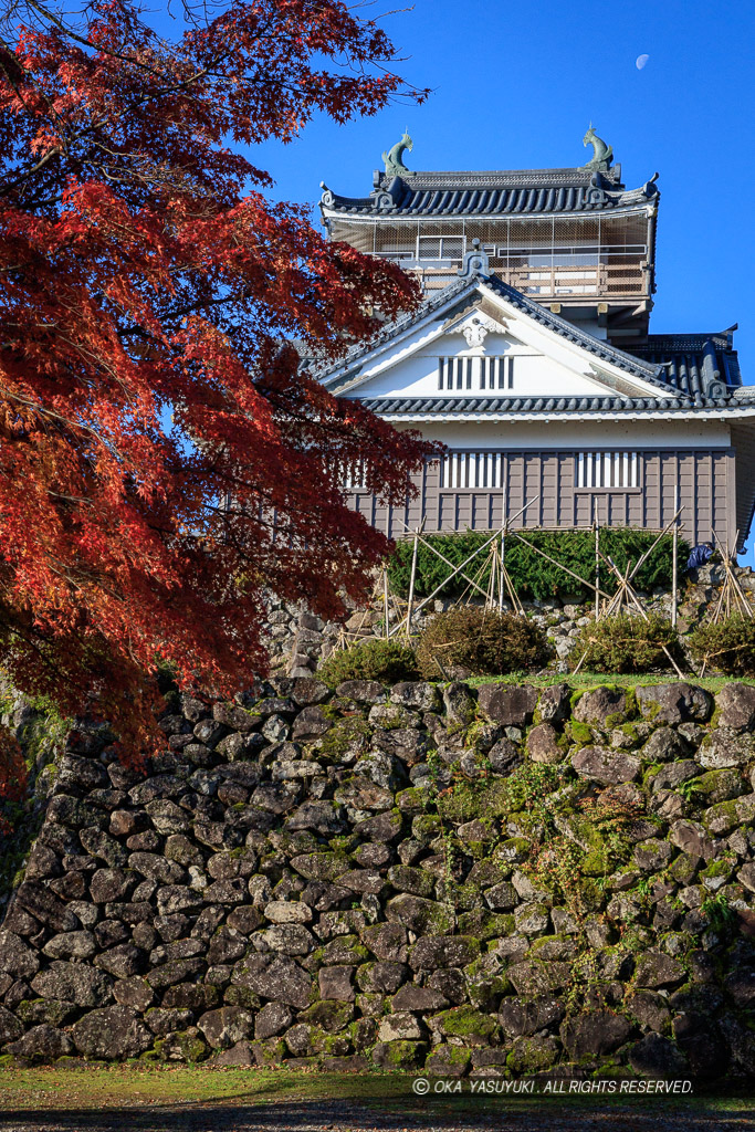 越前大野城の紅葉・本丸から望む天守