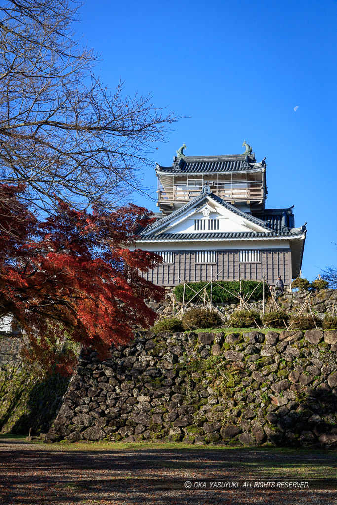 越前大野城の紅葉・本丸から望む天守