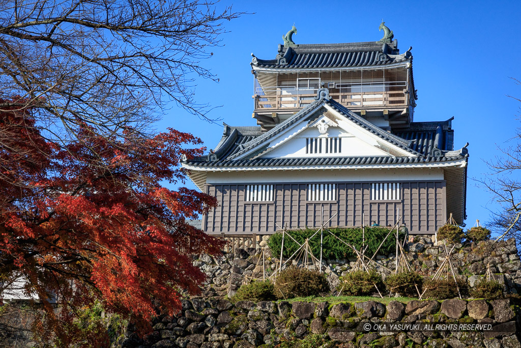 越前大野城の紅葉・本丸から望む天守