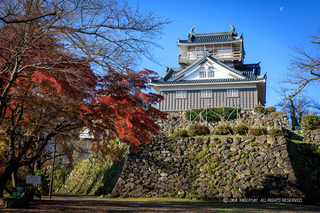 越前大野城の紅葉・本丸から望む天守