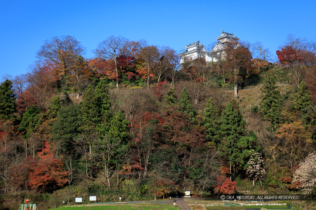 秋・麓から天守を望む