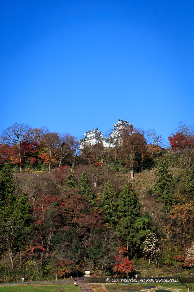 秋・麓から天守を望む