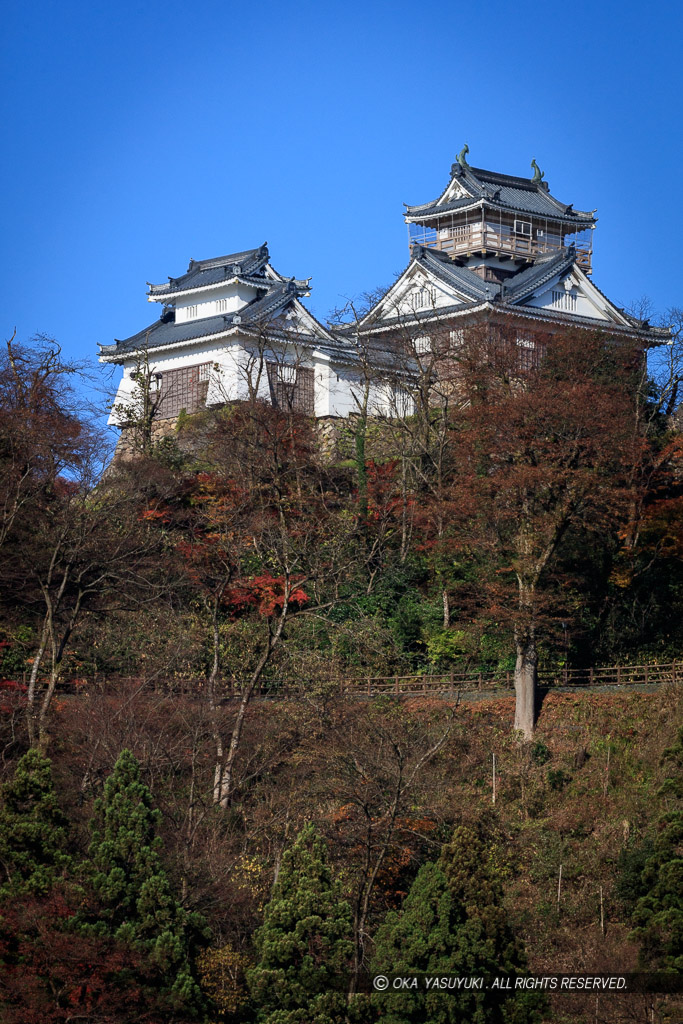 秋・麓から天守を望む