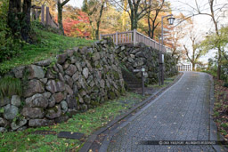 登城路｜高解像度画像サイズ：5184 x 3456 pixels｜写真番号：1DX_5412｜撮影：Canon EOS-1D X