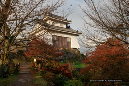 天狗書院｜高解像度画像サイズ：5184 x 3456 pixels｜写真番号：1DX_5426｜撮影：Canon EOS-1D X