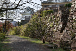 帯曲輪と本丸石垣｜高解像度画像サイズ：5184 x 3456 pixels｜写真番号：1DX_5713｜撮影：Canon EOS-1D X