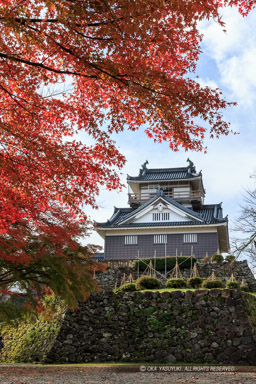 越前大野城の紅葉・本丸から望む天守｜高解像度画像サイズ：3456 x 5184 pixels｜写真番号：1DX_5752｜撮影：Canon EOS-1D X