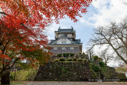 越前大野城の紅葉・本丸から望む天守｜高解像度画像サイズ：5023 x 3349 pixels｜写真番号：1DX_5774-Edit｜撮影：Canon EOS-1D X