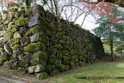 二の丸石垣｜高解像度画像サイズ：5006 x 3337 pixels｜写真番号：1DX_5778｜撮影：Canon EOS-1D X