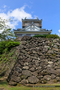 本丸石垣と天守｜高解像度画像サイズ：4480 x 6720 pixels｜写真番号：5D4A8296｜撮影：Canon EOS 5D Mark IV