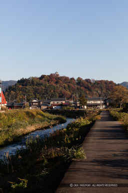 紅葉｜高解像度画像サイズ：5792 x 8688 pixels｜写真番号：5DSA1998｜撮影：Canon EOS 5DS