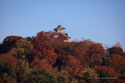 紅葉｜高解像度画像サイズ：8688 x 5792 pixels｜写真番号：5DSA2000｜撮影：Canon EOS 5DS