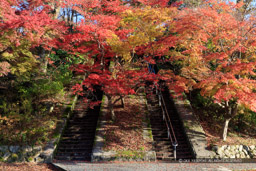 曲輪跡｜高解像度画像サイズ：8688 x 5792 pixels｜写真番号：5DSA2261｜撮影：Canon EOS 5DS